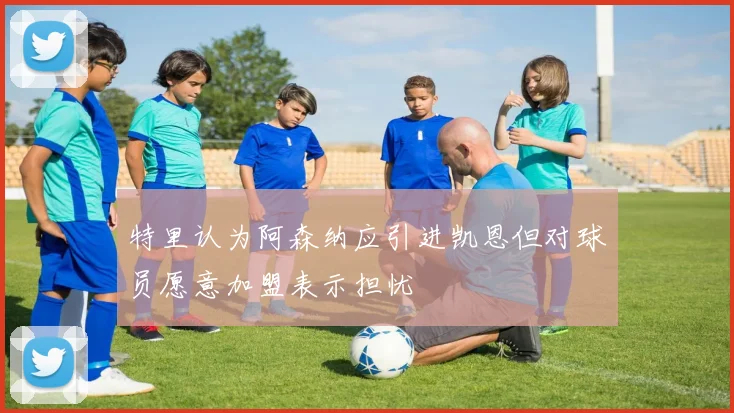 特里认为阿森纳应引进凯恩但对球员愿意加盟表示担忧